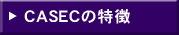 casec�̓���